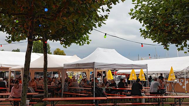 Bild 4: Endlich wieder Hafenfest! Trotz Wetterumschwung ist die Stimmung am ersten Tag hervorragend