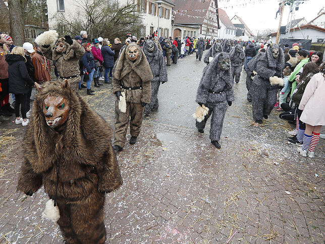 Bild 12: Bilder zum großen Narrentreffen in Pfohren (4)