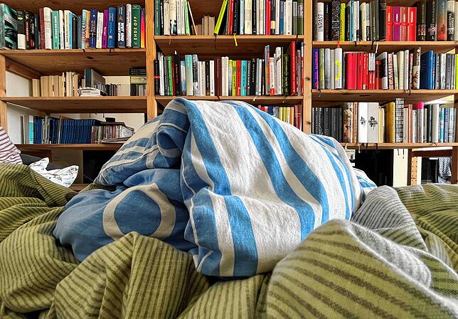 Für ein mittelgroßes Bücherregal sollte man etwa zwei Stunden Aufräumzeit einplanen, sagt Sandra Anspach. (Symbolbild)