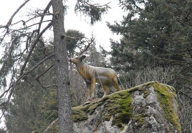 Ein Comeback wagte der Wehratal-Hirsch, doch das Landratsamt hatte etwas gegen das heimliche Wahrzeichen der Wehra-Schlucht.