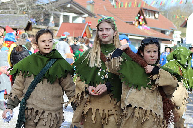 Bild 23: Strahlendes Wetter und glückselige Narren in Ühlingen. Wir haben alle Bilder (2)