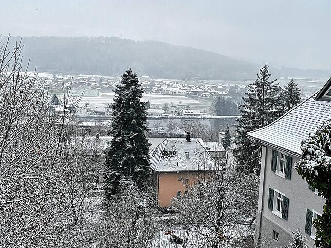 Blick von Waldshut auf die zart verschneite Schweiz.