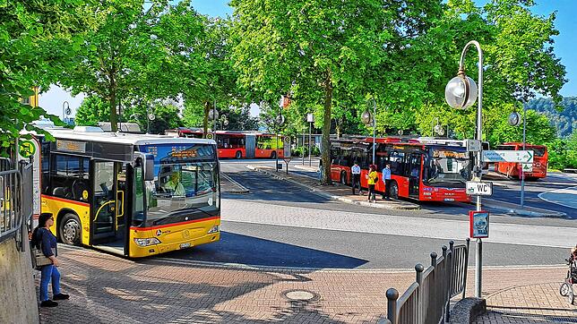 Dass Busse und Bahnen im Kreis Waldshut bald alle halbe Stunde fahren, ist noch weit weg.