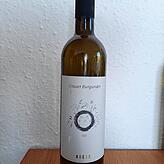 Der Grauburgunder 2024 vom Weingut Kress kostet 13,50 Euro.