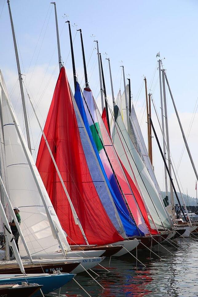 Bild 13: Bilderstory: Die Bodenseewoche am Sonntag