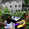 Urlaub zu Hause: Eine Frau sitzt auf ihrem Balkon und liest Zeitung zwischen blühenden Pflanzen. Ulrich Reinhardt empfiehlt, auch die ...