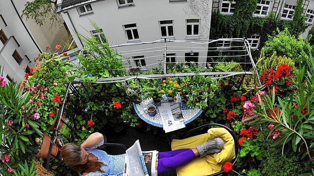 Urlaub zu Hause: Eine Frau sitzt auf ihrem Balkon und liest Zeitung zwischen blühenden Pflanzen. Ulrich Reinhardt empfiehlt, auch die ...
