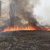 (Archivbild) Ein Schilfbrand im März auf der Reichenau. Aktuell ist die Gefahr, dass es zu Flächen- und Waldbränden kommt, hoch.