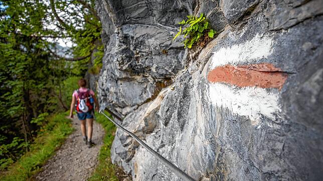 Der Weg zwischen dem Gasthaus Aescher und dem Seealpsee im ostschweizerischen Alpsteingebirge. Die weiß-rot-weiße Markierung an der ...