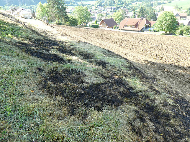 Der angebrannte Bereich des Stoppelfelds bei Blumberg-Epfenhofen wurde noch am Mittwochabend mit zwei Traktoren umgefplügt, um mögliche ...