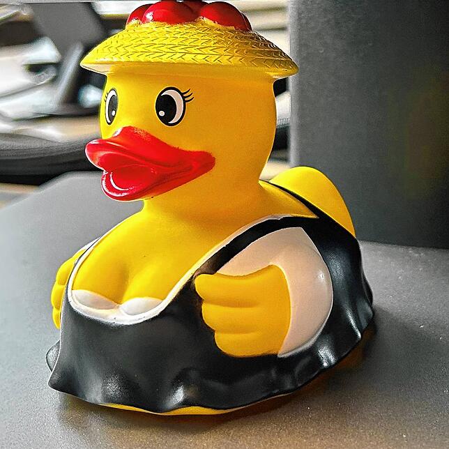 Die gelbe Ente verrät, wo der Geschäftsführer sitzt: Sebastian Merkle und sein Vorstandskollege Martin Renner nutzen ihre Vorstandsbüro ...