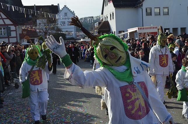 Bild 44: Eigeltinger Narrentage: Der Sonntagsumzug in Bildern (2)
