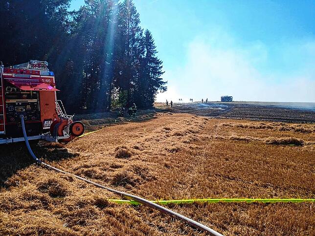 Die Feuerwehren mussten verhindern, dass das Feuerwehr auf den Wald übergriff