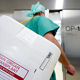 Ein Styropor-Behälter zum Transport von Organen wird am Eingang eines OP-Saales vorbeigetragen.