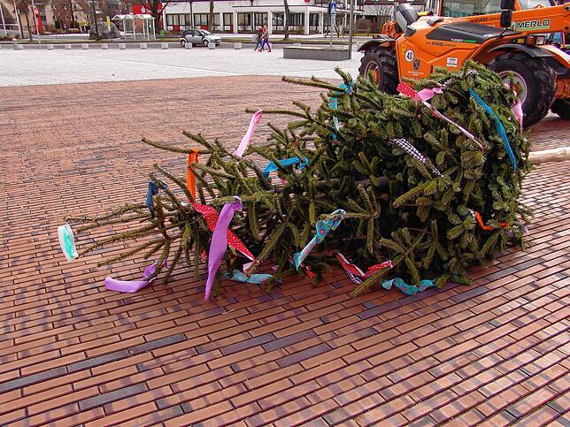 Bild 4: Auch ohne Rathaus-Sturm: Bauhof stellt ersten Narrenbaum in der neuen Neuen Mitte auf