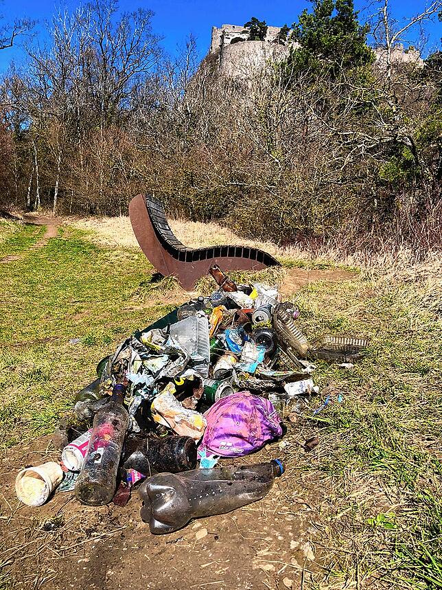 Der Singener Peter Teubner hat kürzlich im Bereich der Himmelsliege unterhalb der Karlsbastion innerhalb weniger Stunden diese ...