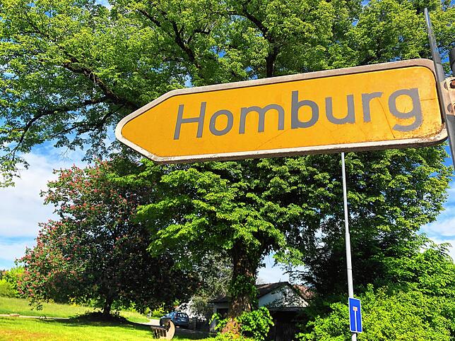 Bild 13: Wandern vor der Haustür (Teil 4): Durch den Bürgerwald zum Küssaberger Rheinufer