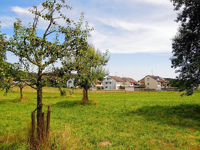 Westlich von Kaltbrunn plant die Gemeinde Allensbach ein Neubaugebiet. Dafür sind einige naturschutzrechtliche Ausgleichsmaßnahmen ...