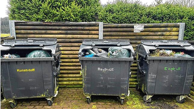 Hausmüll wird illegal in den Containern auf dem Friedhof entsorgt. Bild: Ralph Wegle