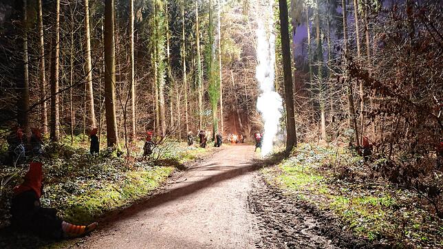 Bild 27: Konstanzer Fasnacht: Bilder vom Fackelumzug durch den Uniwald