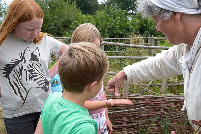 Die Ackerringelblume macht aus Kindern Spinnendompteure.