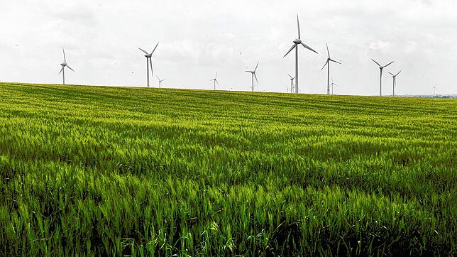 (Symbolbild) Diese Windkraftanlagen stehen zwar im nordrhein-westfälischen Oermten, jedoch plant auch die Schweiz mehrere größere ...