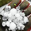 Große Hagelkörner nach dem Unwetter vom 12. Juli.