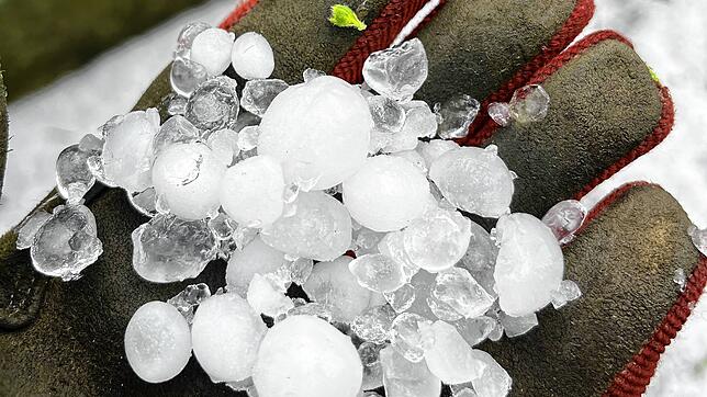Große Hagelkörner nach dem Unwetter vom 12. Juli.