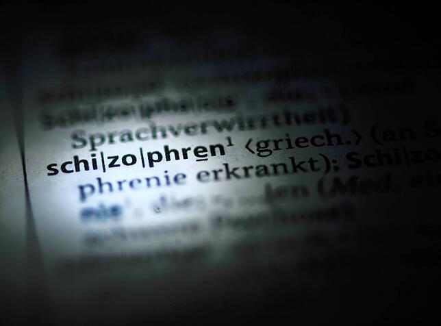 Dem Angeklagten wurde eine Autismus-Spektrum-Strömung und paranoide Schizophrenie diagnostiziert.