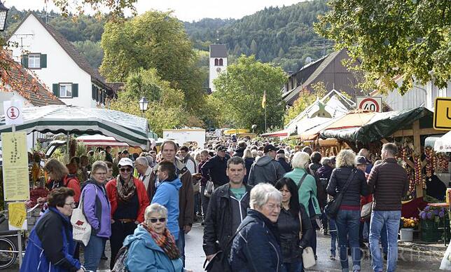 Ein Ort im Zwiebel-Fieber: Mehrere tausend Besucher kamen am Sonntag nach Bankholzen zum Büllefest auf der Vorderen Höri.