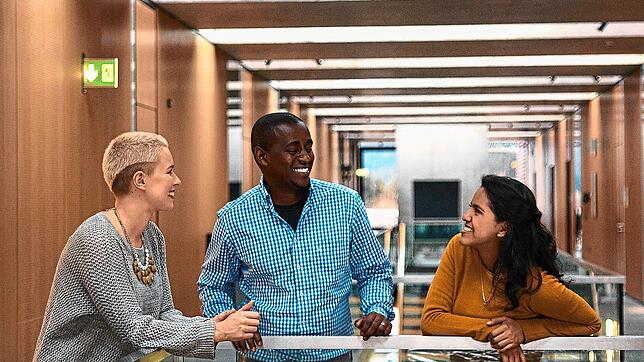 International ist die Zusammensetzung der Studenten an der Hochschule Furtwangen. Deshalb wird dort künftig auch vermehrt zweisprachig ...
