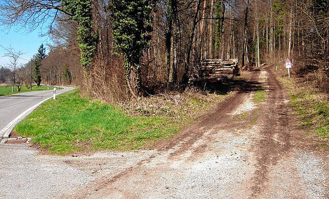 Hier soll es von der Straße in den Wald gehen. Der bestehende Weg (im Bild) wird dafür wahrscheinlich asphaltiert. Auf die Radler kommen ...