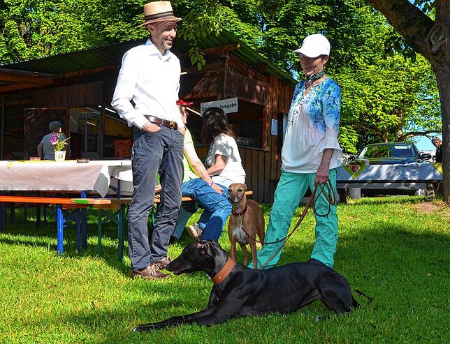 Bild 2: Bilder vom Jubiläumswochenende des Windhundrennclubs Bodensee