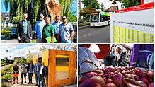 Astbruch auf dem Markelfinger Campingplatz, Einschränkungen beim Busverkehr, eine neue Toilette in Stahringen und Höribülle &ndash; ...