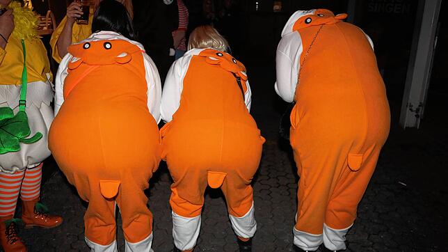 Bild 8: Die schönsten Bilder vom Zunftball der Poppele-Zunft Singen (Teil 2)