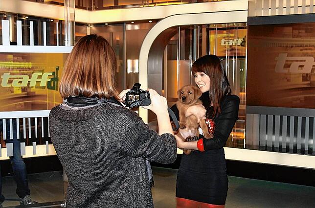 Nela Lee mit Labrador Welpe Captain im Taff Studio, wo sie damals moderierte. Das Foto entstand kurz nach Silvester 2011.