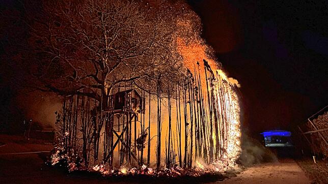 Eine fünf Meter hohe Hecke steht am Samstagabend in Ittendorf in Flammen.