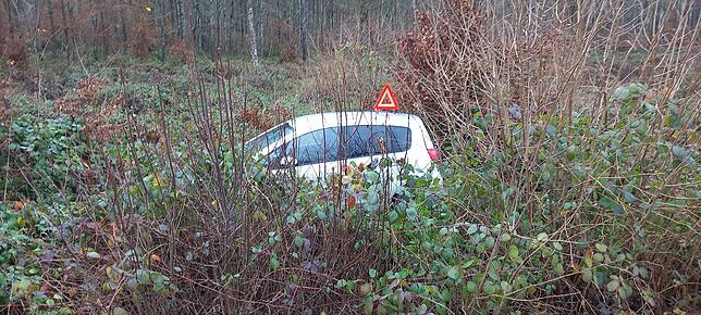 Ein Auto liegt im Gebüsch – auf dem Dach steht ein Warndreieck.