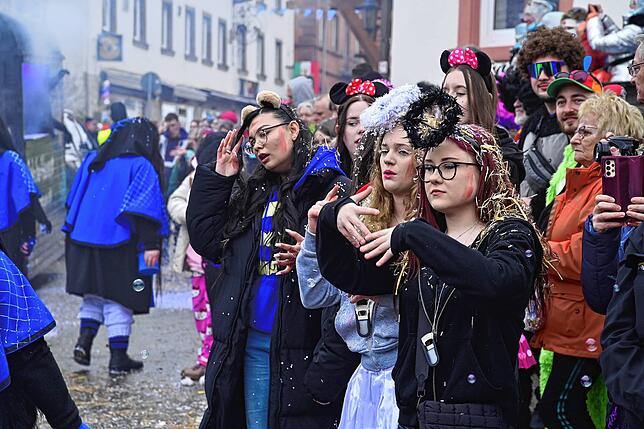 Bild 17: 75 Gruppen beim Fasnachtsumzug in St. Georgen: Wir haben die Bilder
