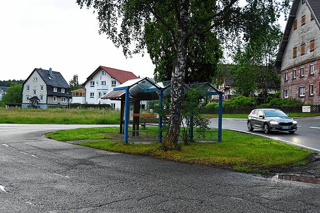 Den Abschnitt rund um die Bushaltestelle am Ortseingang von der Bundesstraße 33 her hielten die Ortschaftsräte für schützenswert.