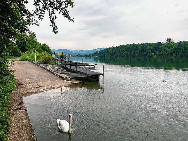 Der Bootssteg am Rhein darf nun wieder genutzt werden.