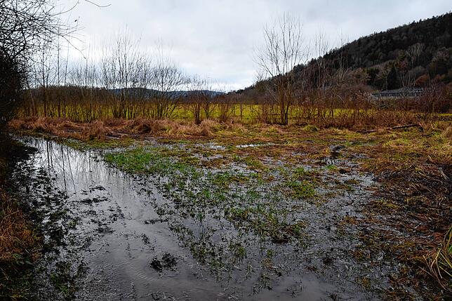 Links ist der Weg überflutet und rechts die Wiese, neben der die Schienen auf einem erhöhten Damm verlaufen.