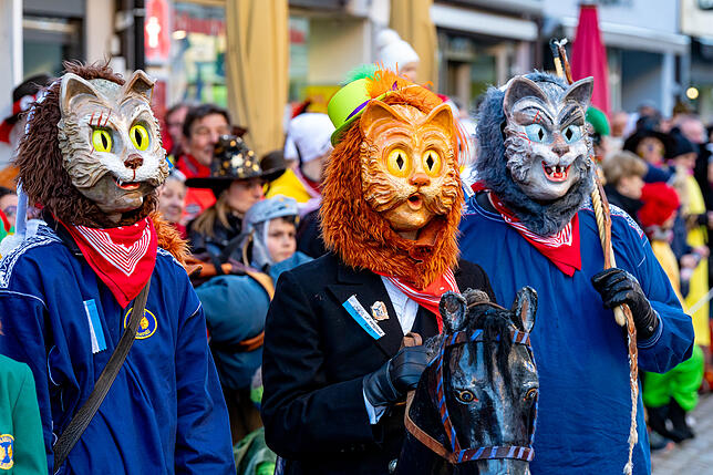 Bild 17: Villinger Fasnacht 2025: Tolle Stimmung mit der Katzenmusik