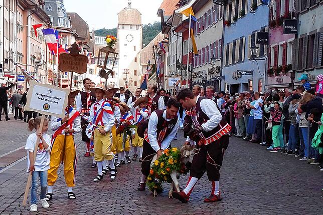 Der Umzug 2016: Die Junggesellschaft 1468 Waldshut mit Chilbibock „Uli der ehemalige Waldshuter“.