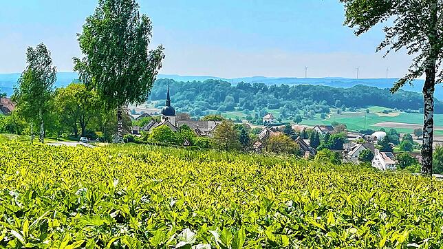 Idyllisch schmiegt sich Ebringen an den Ausläufer des Heilsbergs. Rechts im Bild ist eine Kugel zu erkennen. Dort wird Bio-Energie ...