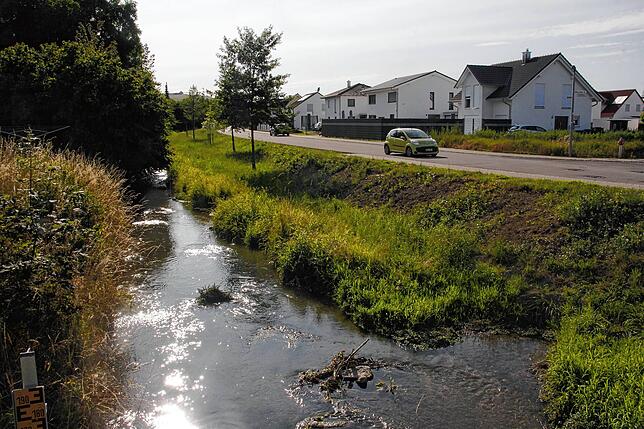 Der Saubach schlängelt sich durch Felder und vorbei am Neubaugebiet in Mühlhausen bis zur Mündung in die Radolfzeller Aach.