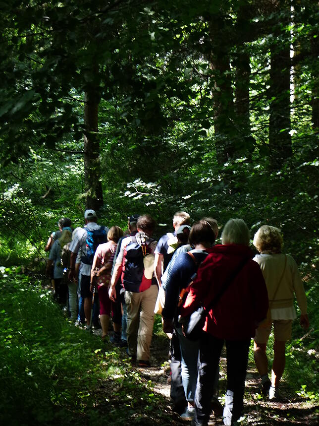 Bild 23: Bilder der &bdquo;Aktion Wanderlust&ldquo; von Verschönerungsverein und SÜDKURIER Überlingen
