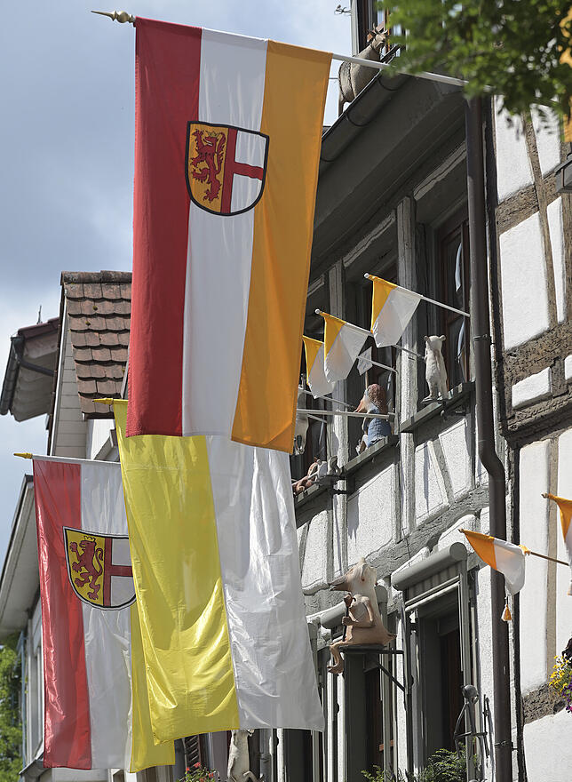 Bild 6: Bilder und Videos vom Hausherrenfest in Radolfzell