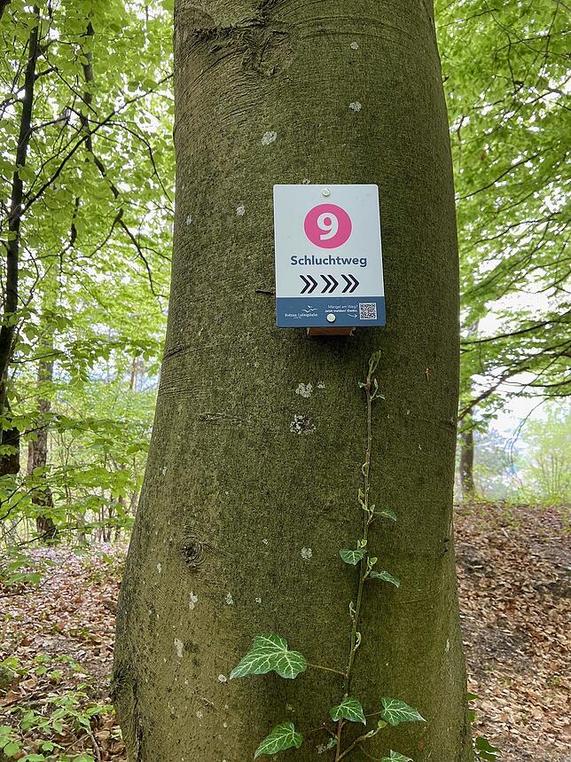 Der Schluchtweg im Gießbachtobel hat neue Schilder mit Informationen und Wegpunkten.