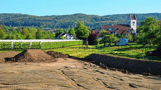 Hier am Rande von Bergheim sollen im neuen Wohnbaugebiet Klosteröschle 190 Wohneinheiten entstehen. Das Stellplatzkonzept läuft auf ...